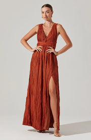 Tesni Pleated Maxi Dress