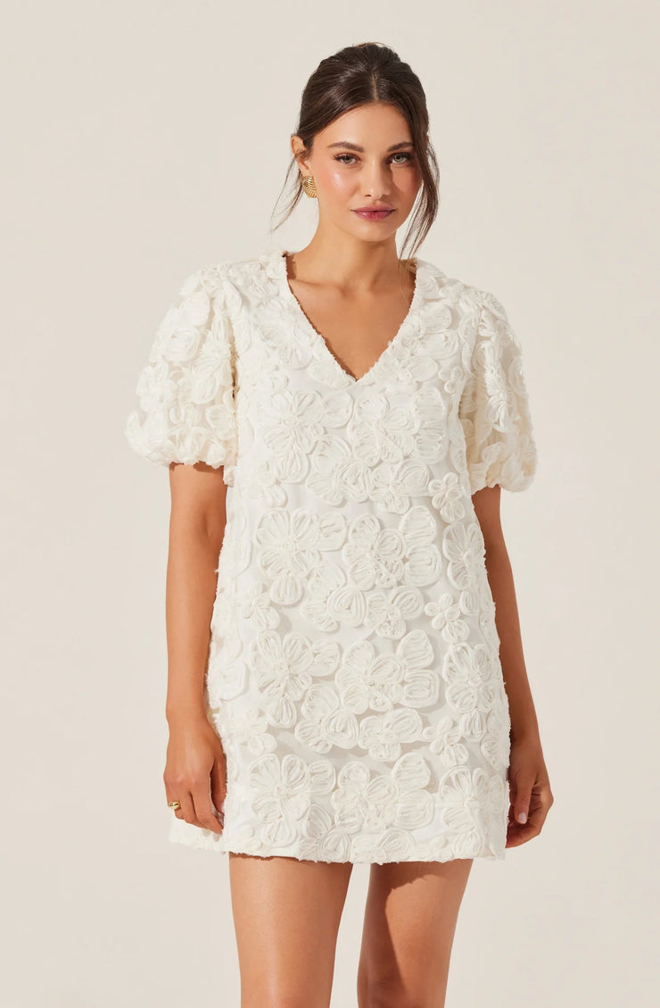 Lakelyn Floral Embroidered Mini Dress