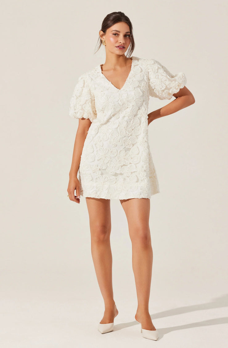 Lakelyn Floral Embroidered Mini Dress