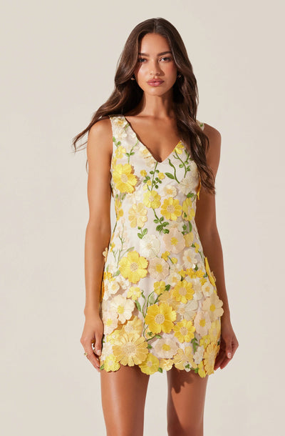 Aisha Floral Appliqué Mini Dress