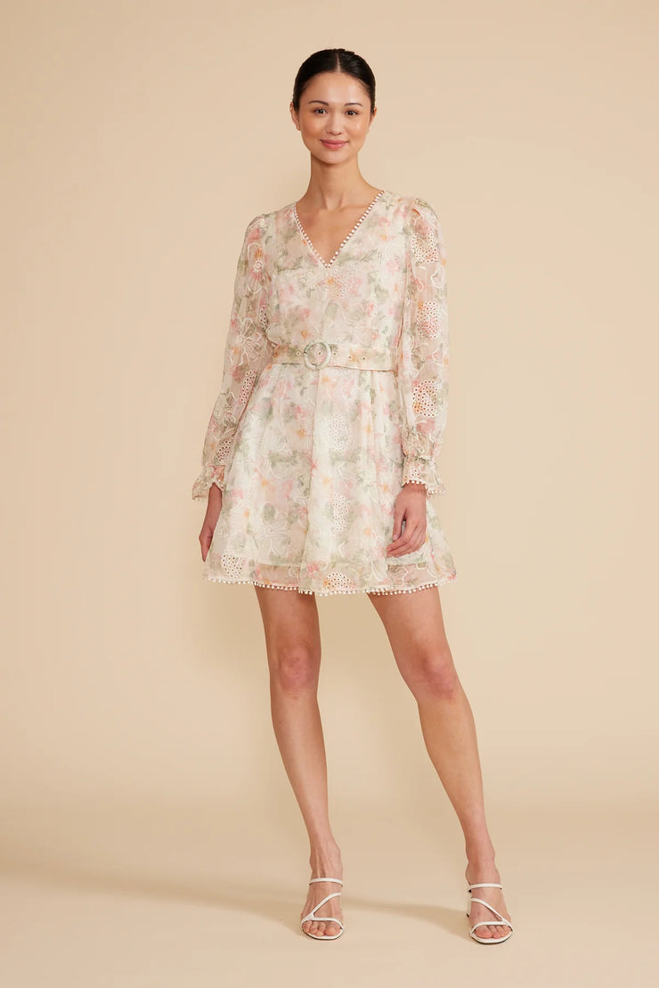 Haisley Mini Dress