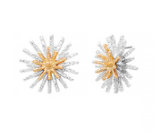 Textured Sunburst Metal Earrings