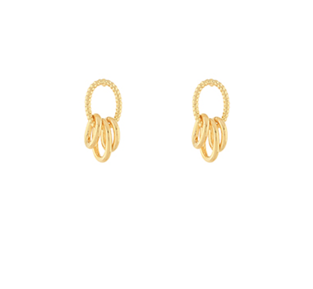 Multi Ring Linked Oval Earrings