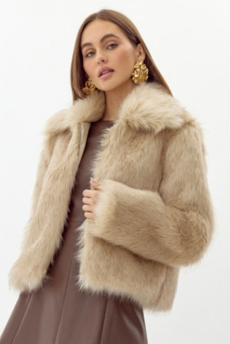 Aubrey Zip Up Faux Fur Coat