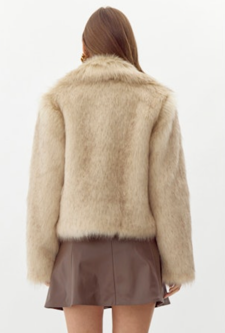 Aubrey Zip Up Faux Fur Coat