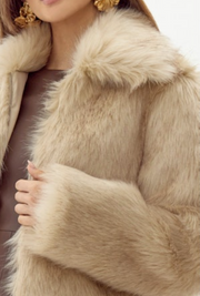 Aubrey Zip Up Faux Fur Coat